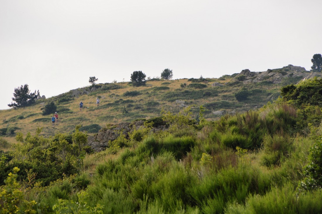 pano
