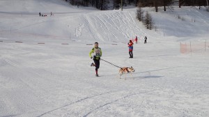 arrivée dimanche